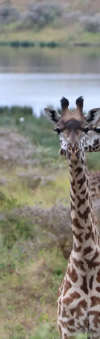 Erste tierische Begegnungen